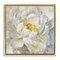 Stupell Industries Delicate Flower Petals Painting Framed Floater Canvas Wall Art